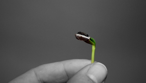 growth-620x354